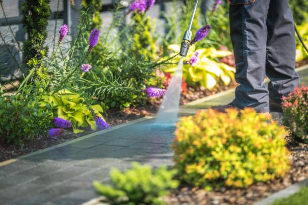Best Fence Cleaning  in Sonora, TX